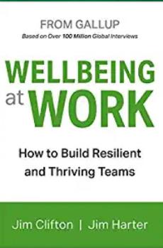 Read one of Dave Rothackers recommended books, Wellbeing at Work!